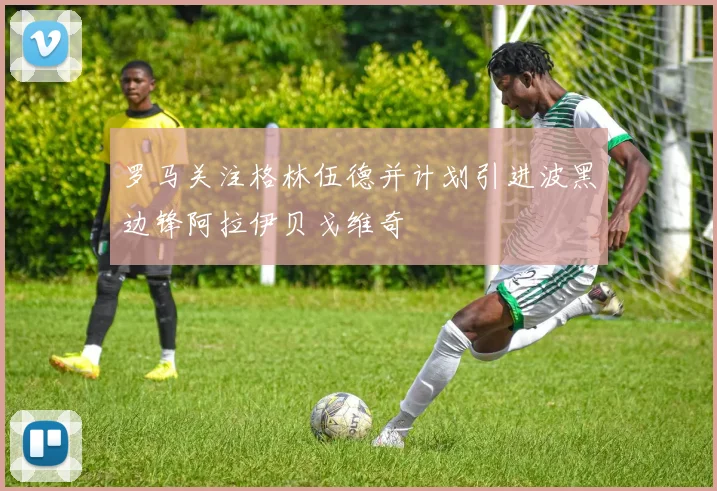 罗马关注格林伍德并计划引进波黑边锋阿拉伊贝戈维奇